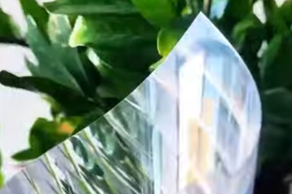 Film de verre/film de fenêtre décoratif/autocollant de verre/autocollant de fenêtre/film de fenêtre de confidentialité Teinte de fenêtre auto-adhésive