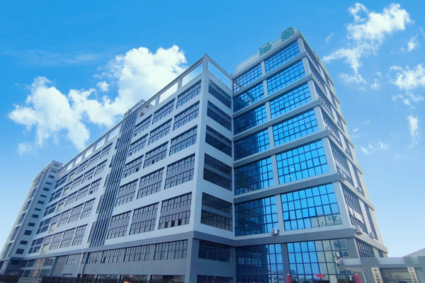 Histoire d'ANKE en 2024